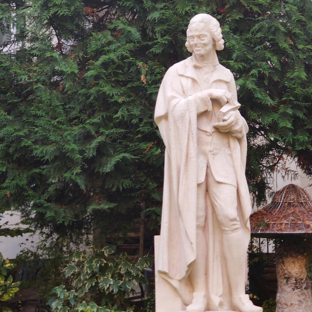 Statue De Voltaire 1